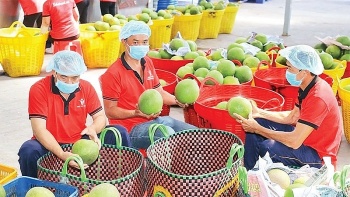 Ngành chế biến lương thực, thực phẩm  TP Hồ Chí Minh lạc quan về xuất khẩu