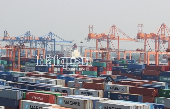 Cảng Hải Phòng khai thác 93 lượt tàu container trong 1 tháng