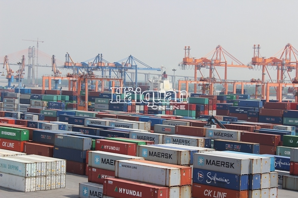 Cảng Hải Phòng khai thác 93 lượt tàu container trong 1 tháng