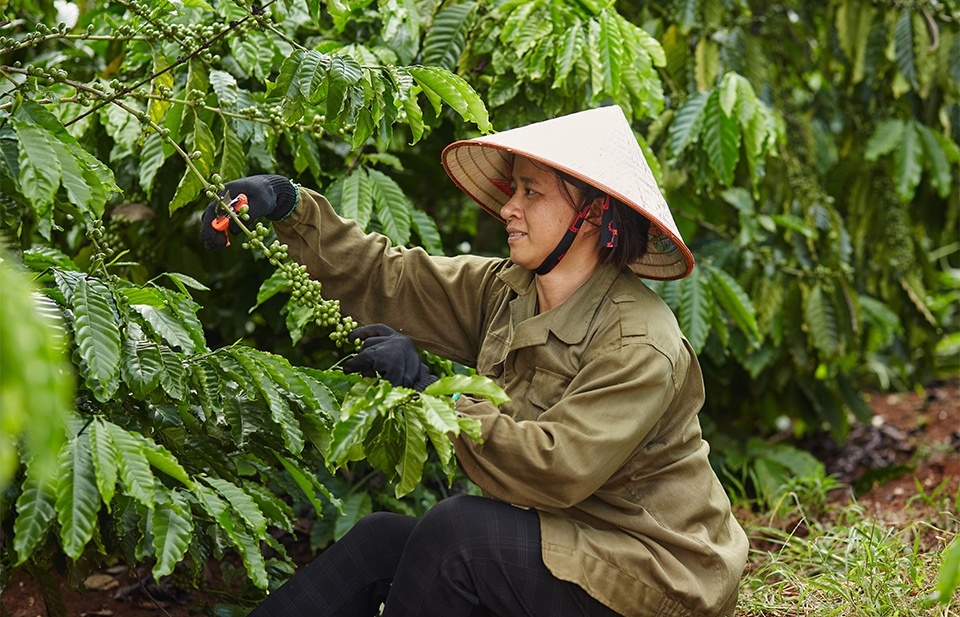 Thiết kế và thực thi các chính sách hỗ trợ doanh nghiệp sản xuất xanh