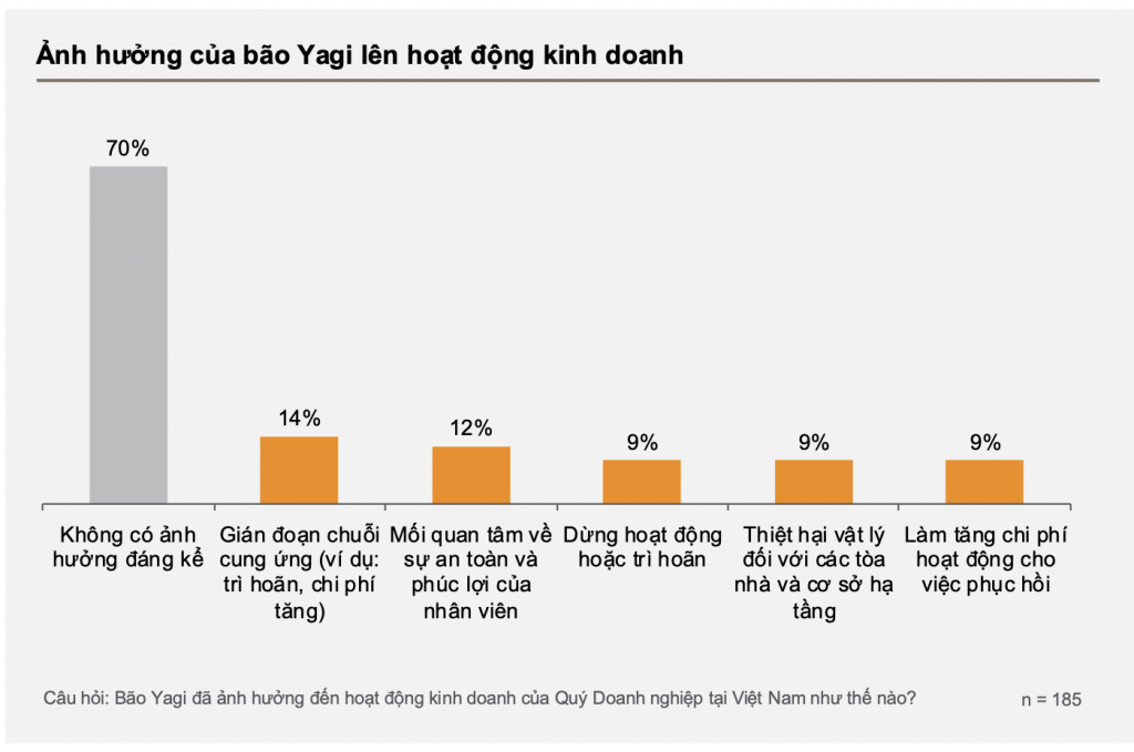 Nguồn: Báo cáo BCI