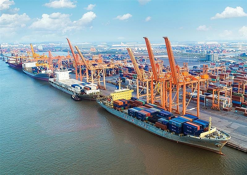 Cảng Hải Phòng xếp dỡ thành công đối với 91 tàu container