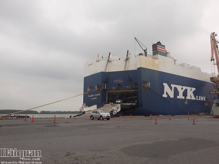 Cảng Tân Vũ sẵn sàng đón tàu chở hơn 1.000 ô tô nhập khẩu