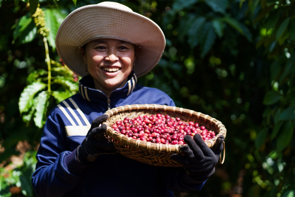 Chương trình NESCAFÉ Plan góp phần cải thiện kinh tế cho nhiều nông hộ canh tác cây cà phê và nâng cao vai trò và vị thế của người phụ nữ_2
